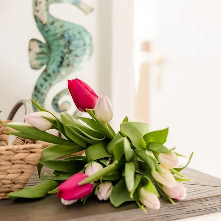 Homestay szállás Lister Wind *