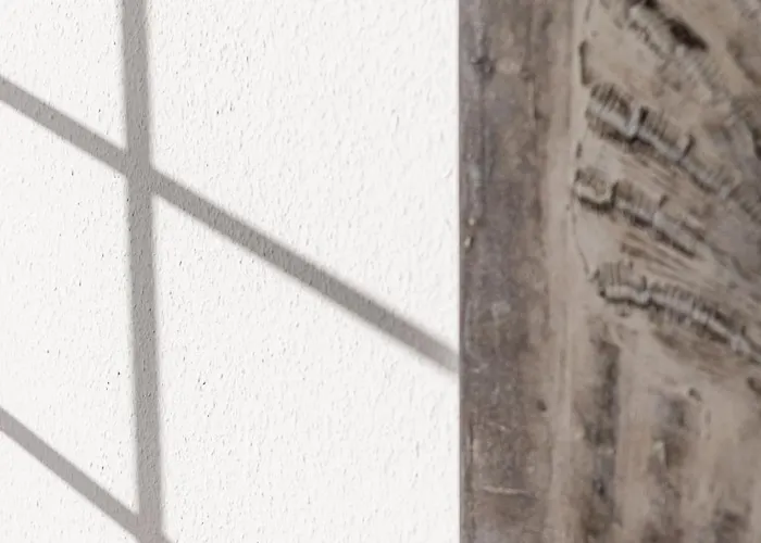 Lister Wind * Лист